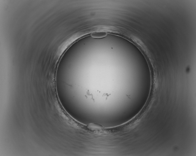 X0000116761089200912241137