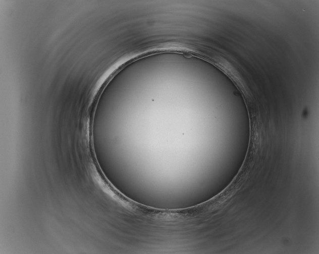 X0000116761092200912241137