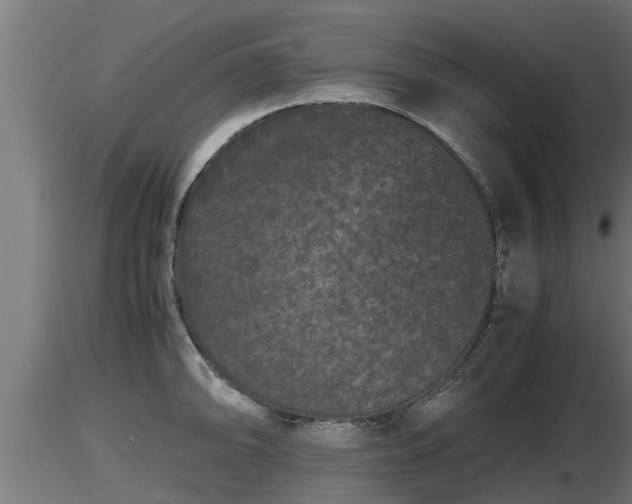 X0000116761094200912241137