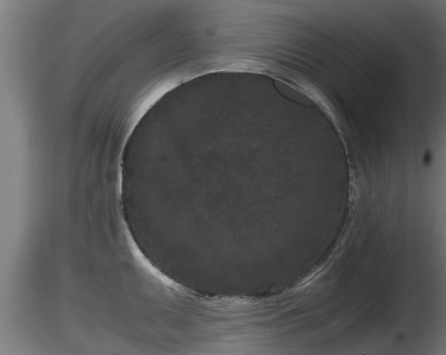 X0000116761095200912241137
