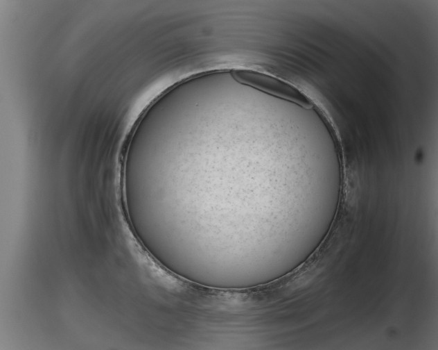 X0000116761096200912241137