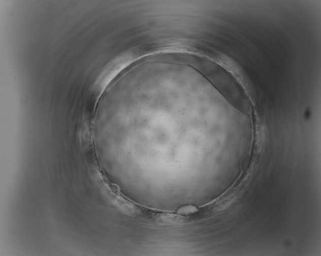 X0000116761097200912241137