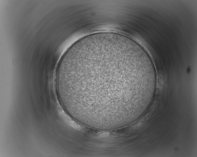 X0000116761098200912241137