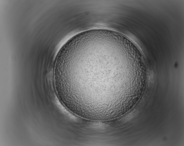 X0000116761100200912241137