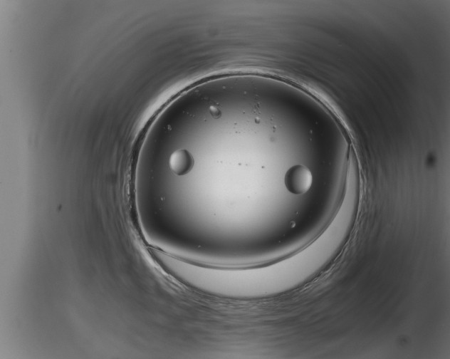 X0000116761101200912241137
