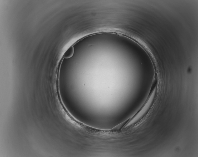 X0000116761102200912241137