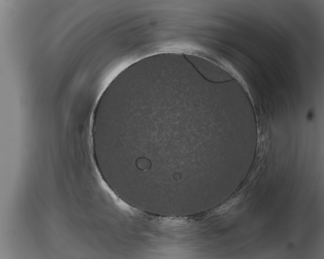 X0000116761103200912241137