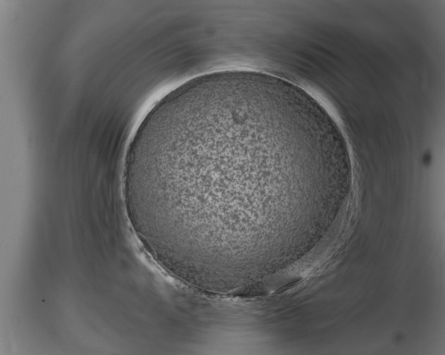 X0000116761104200912241137