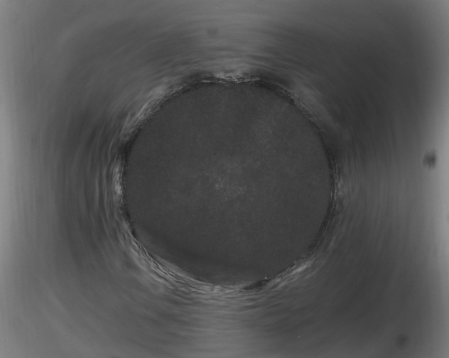 X0000116761106200912241136