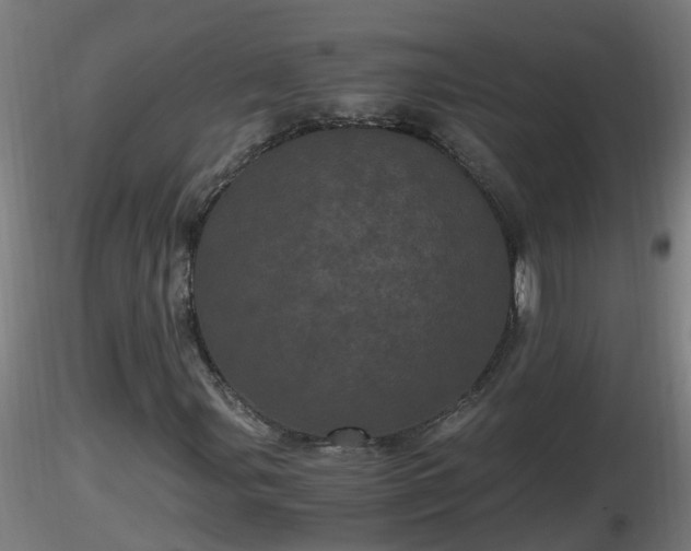 X0000116761107200912241136