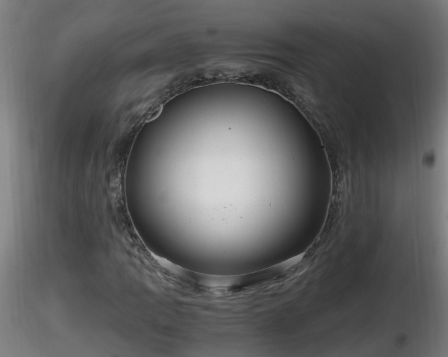 X0000116761109200912241136