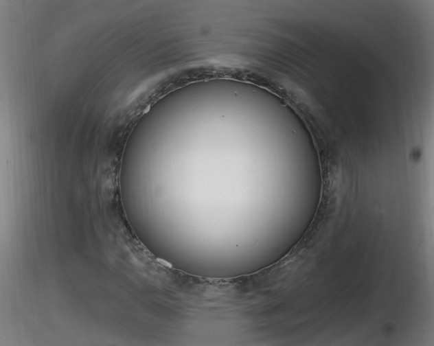 X0000116761110200912241136