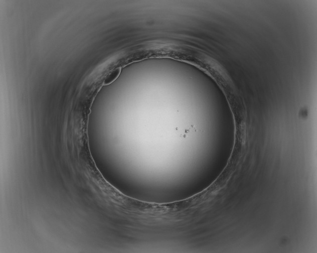 X0000116761111200912241136
