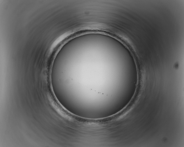 X0000116761114200912241137