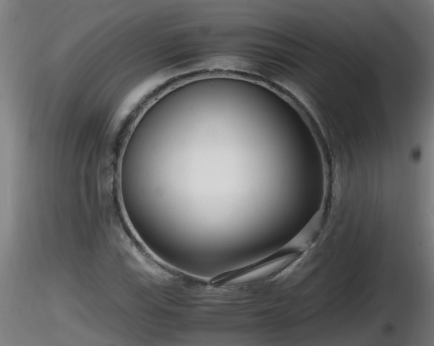 X0000116761115200912241137