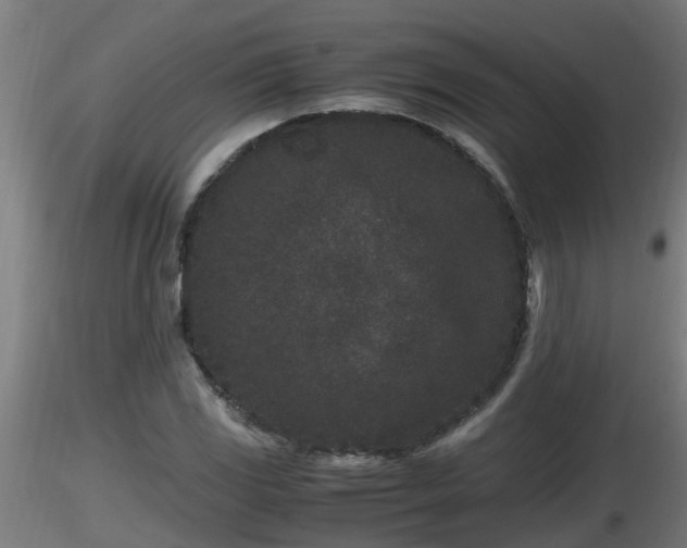 X0000116761117200912241137