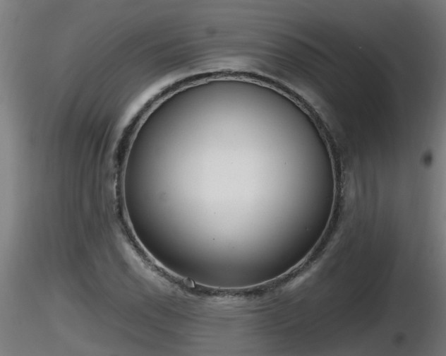 X0000116761118200912241137