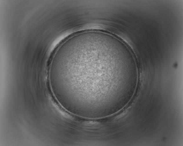 X0000116761119200912241137