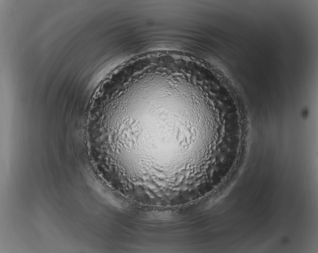 X0000116761121200912241137