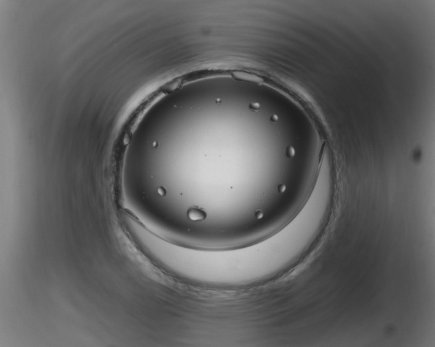X0000116761122200912241137
