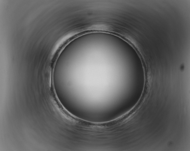 X0000116761123200912241137