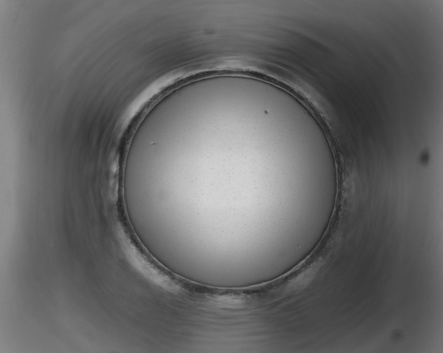X0000116761126200912241137