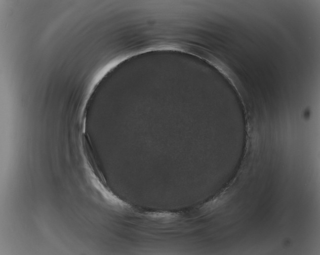 X0000116761127200912241137