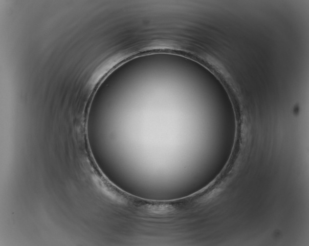 X0000116761129200912241137