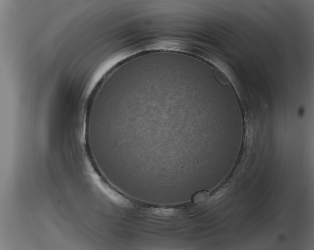 X0000116761131200912241137