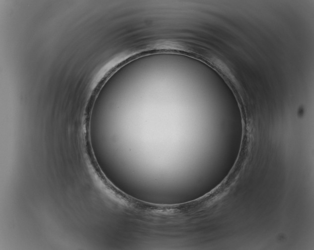 X0000116761133200912241137