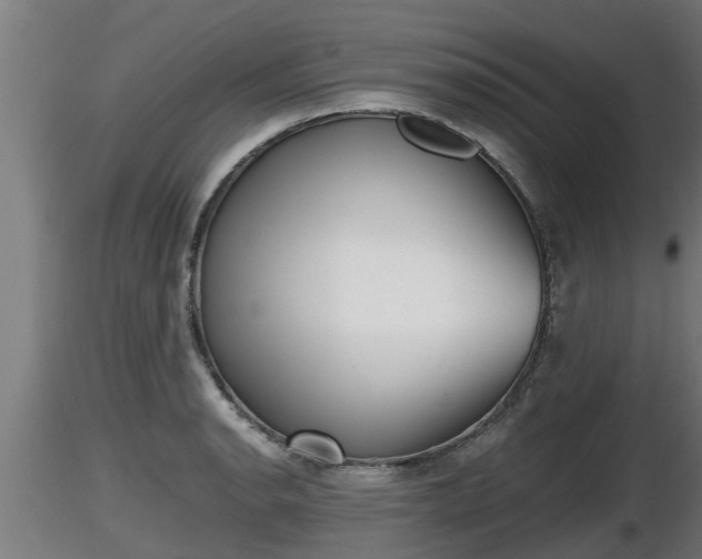 X0000116761134200912241137