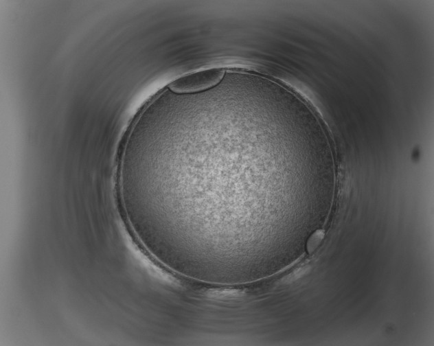 X0000116761135200912241137