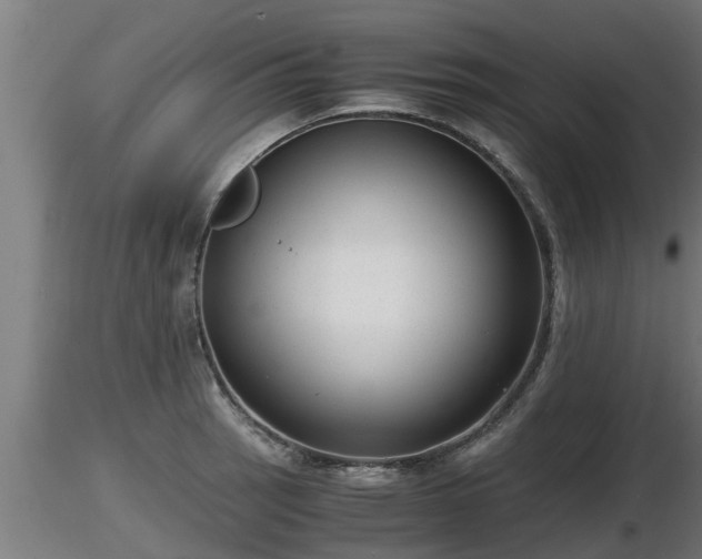 X0000116761137200912241137