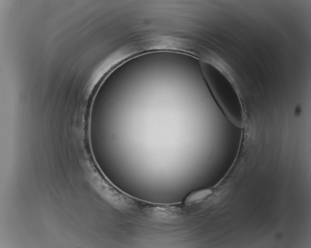 X0000116761138200912241137