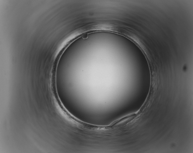 X0000116761139200912241137