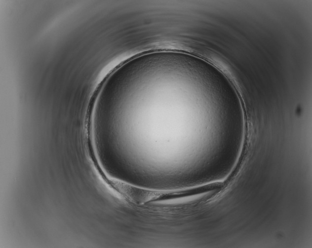 X0000116761141200912241137