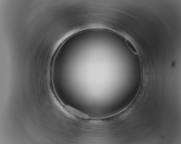 X0000116761142200912241137