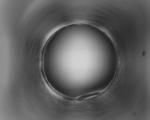 X0000116761143200912241137