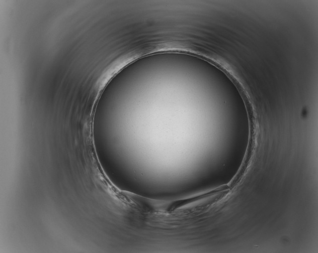 X0000116761145200912241137