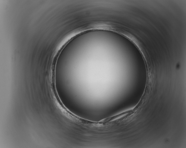 X0000116761147200912241137