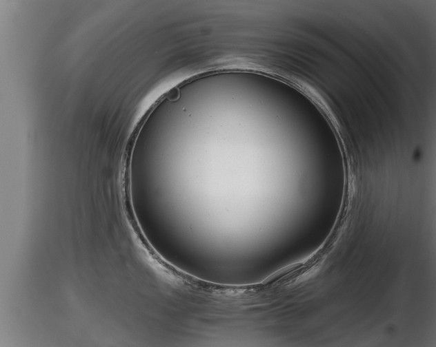 X0000116761149200912241137