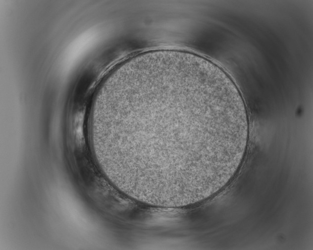 X0000116761150200912241137