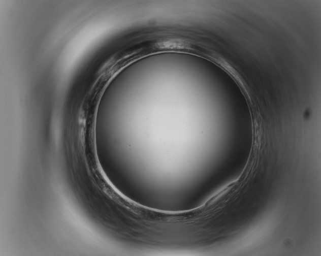 X0000116761151200912241137