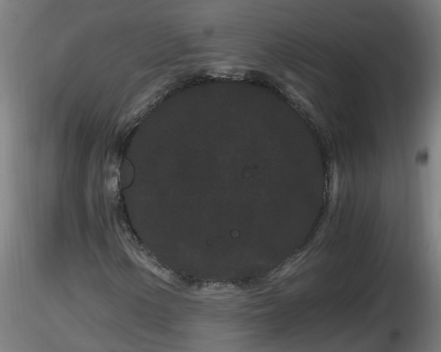 X0000116761154200912241136