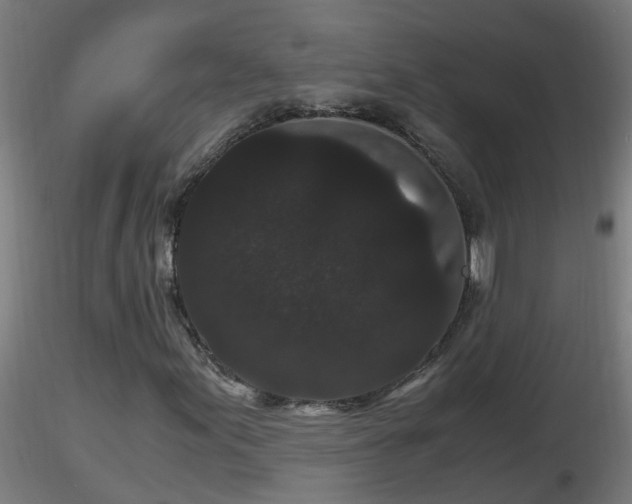 X0000116761155200912241136