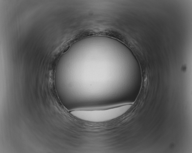 X0000116761156200912241136