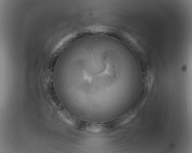 X0000116761157200912241136