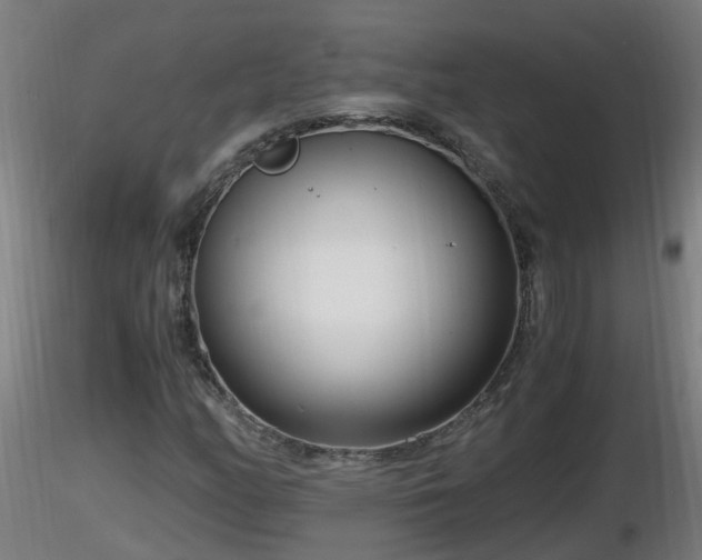 X0000116761158200912241136