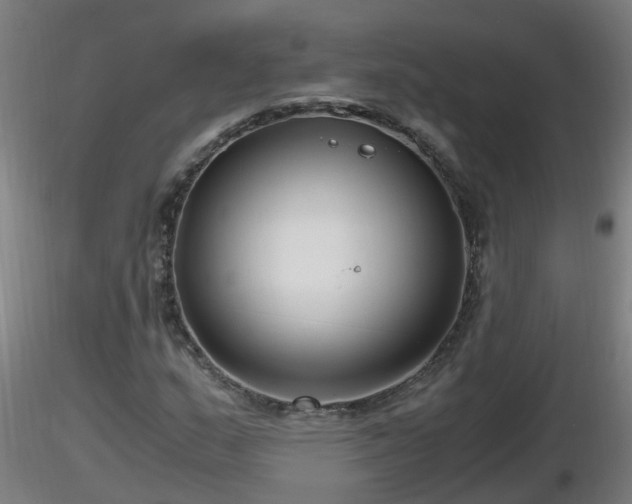 X0000116761159200912241136