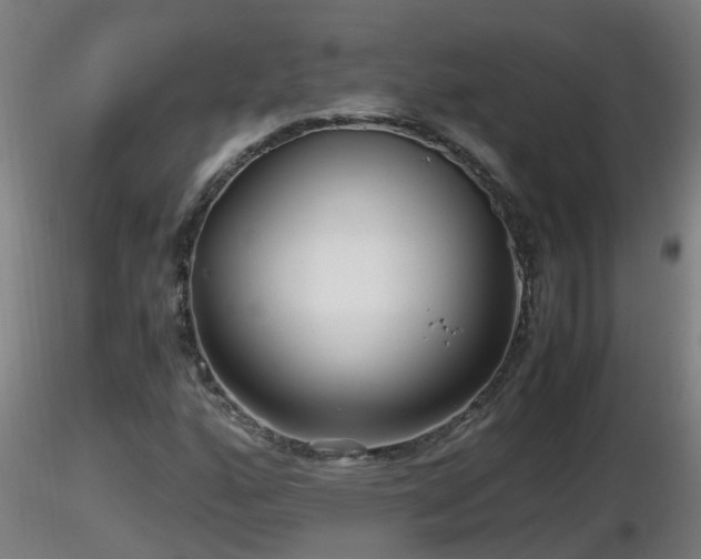 X0000116761160200912241136